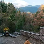 The Foxes - Modern 1bd In The Forest Apartamento *